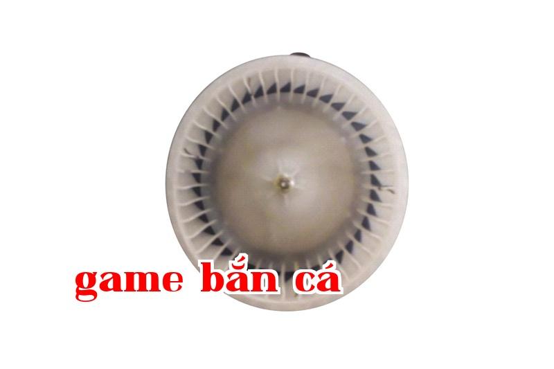 Vinh Quang